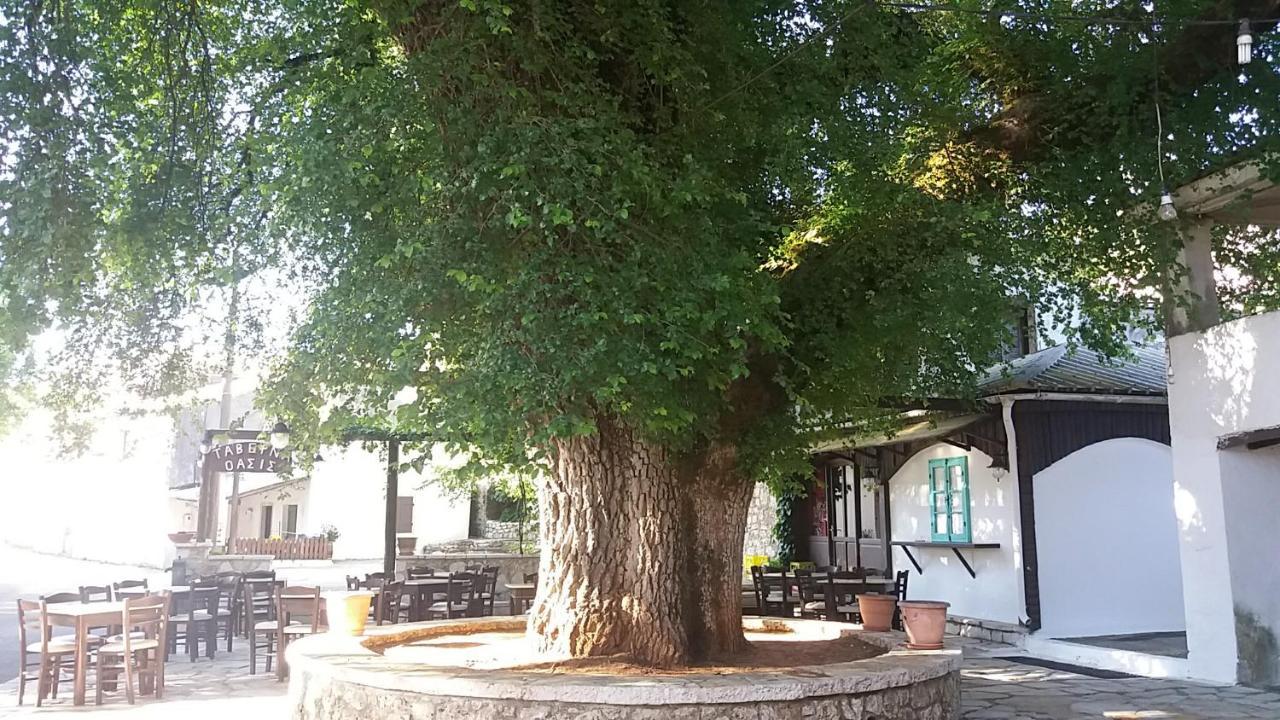 Elm Tree Dream Catcher Strinilas Exteriör bild